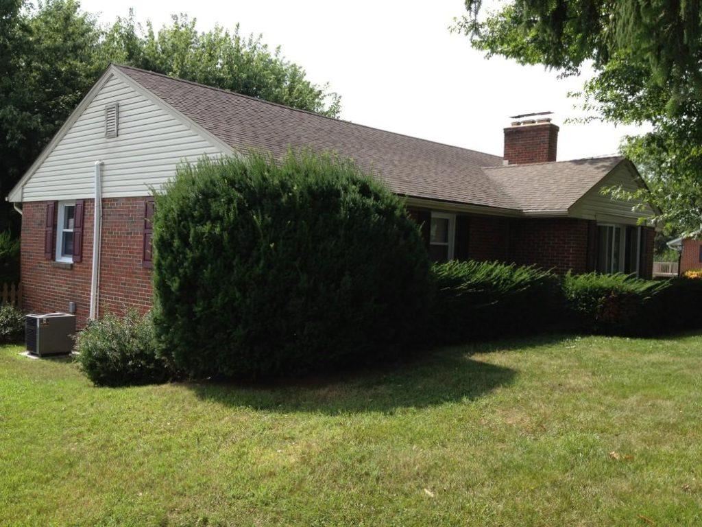 tree-services-16