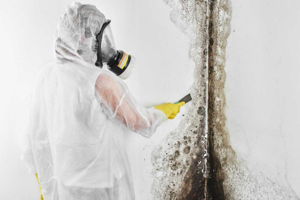 Understanding Mold Testing and When It Makes Sense for Your Home